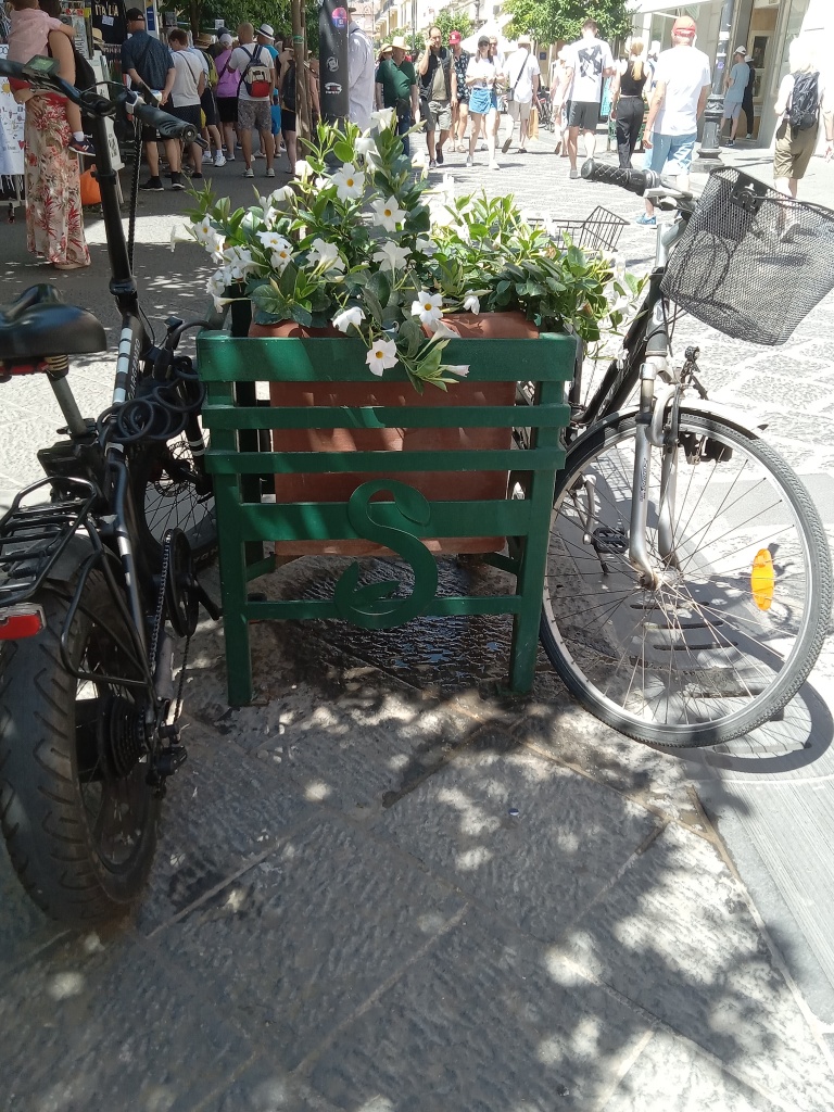 Piazza  Tasso Bicycle & Flowers 2